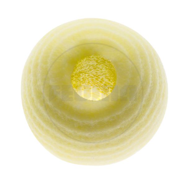 apple sliced without core