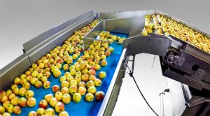 Conveyors