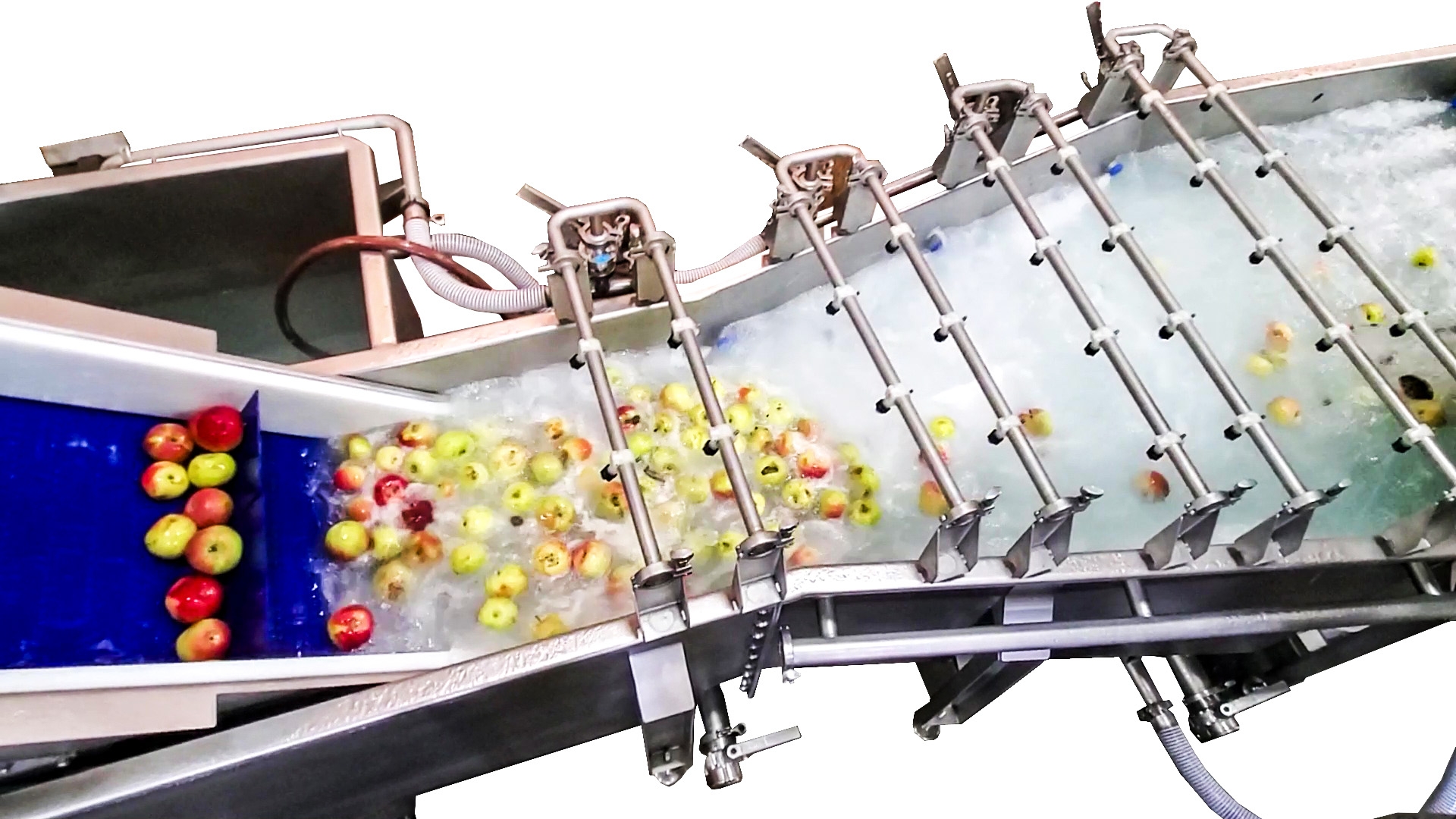 Red and green apples moving from a blue conveyor belt into a bubbling, stainless steel industrial fruit and vegetable washing machine
